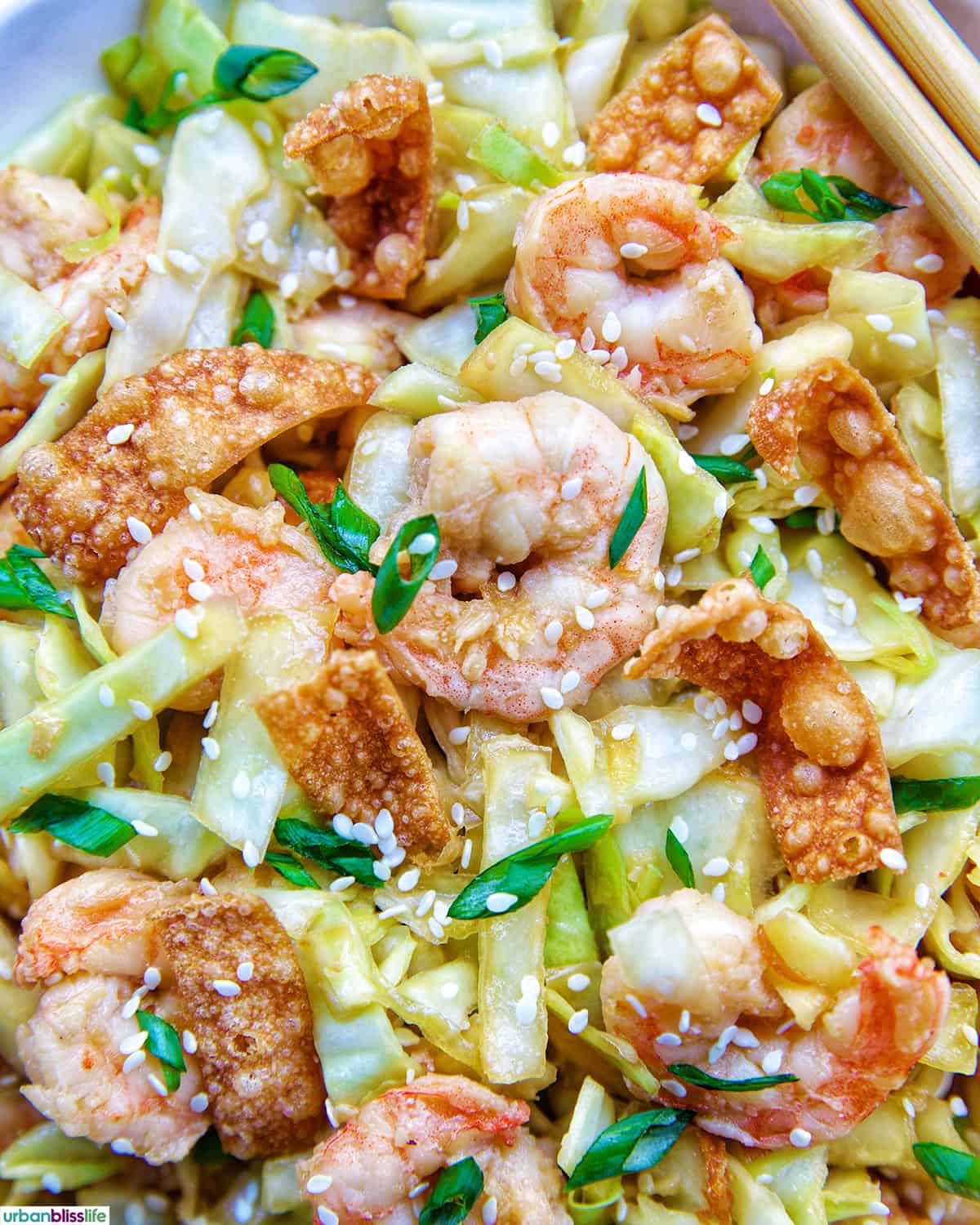 bowl of cabbage and shrimp stir fry