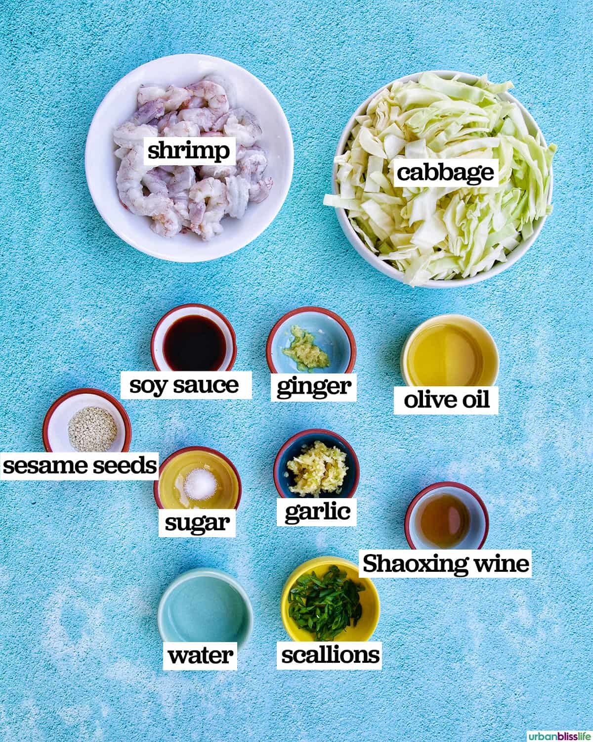 ingredients to make cabbage and shrimp stir fry.