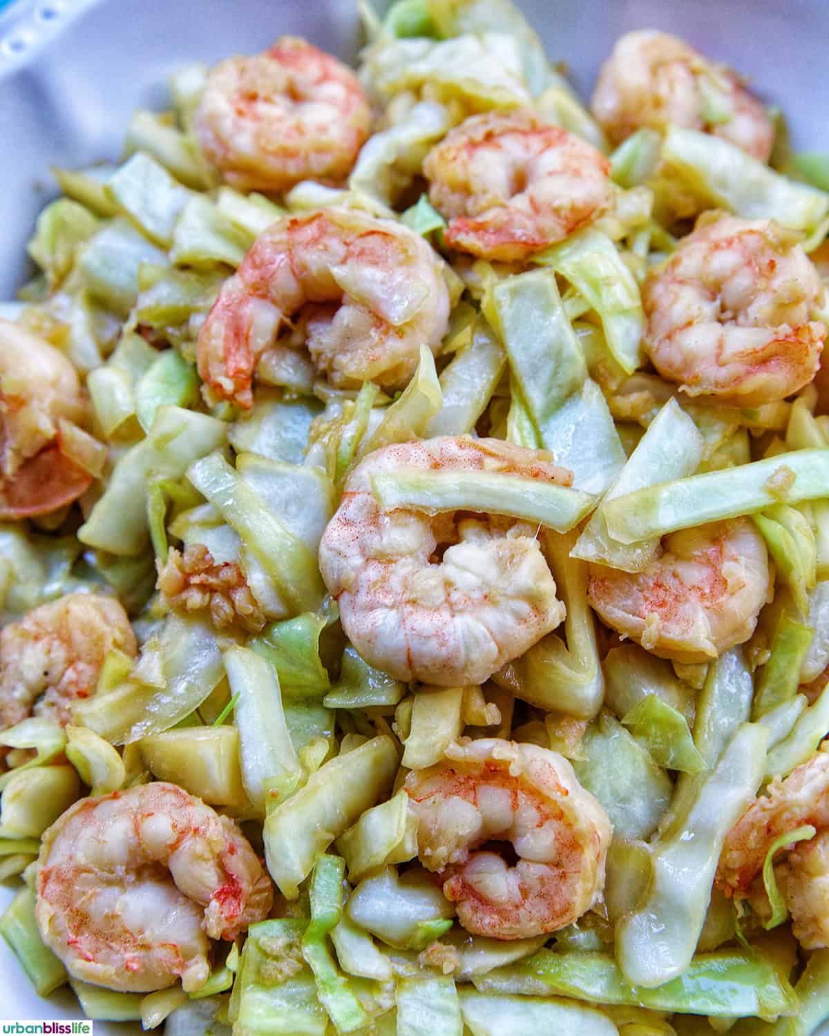 cabbage and shrimp stir fry .
