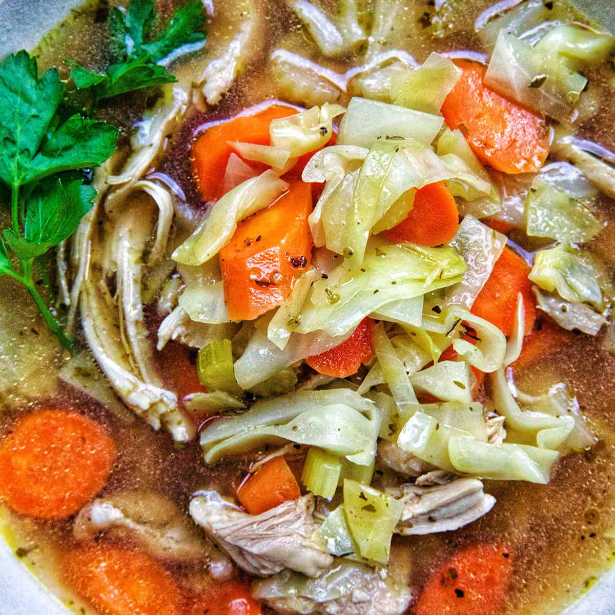 closeup bowl of chicken cabbage soup.