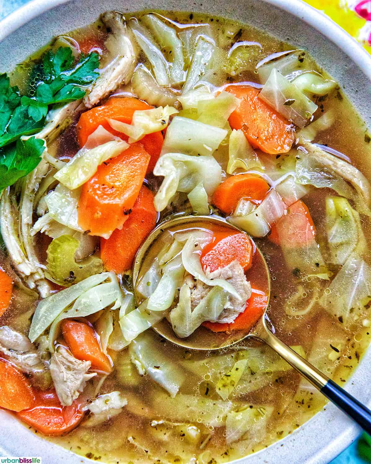 spoon in a bowl of chicken cabbage soup.