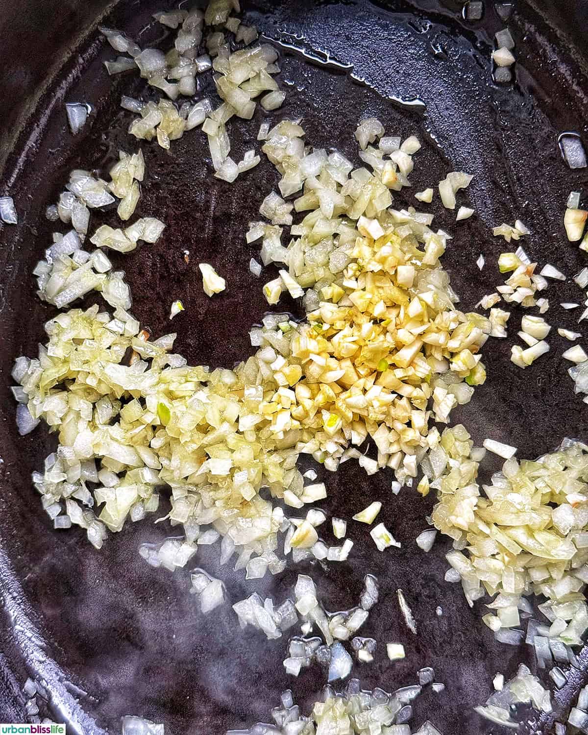 garlic and onions in a dutch oven.