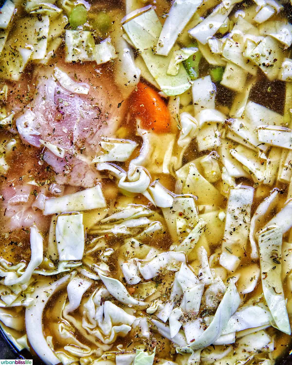 chicken cabbage soup cooking in a dutch oven..