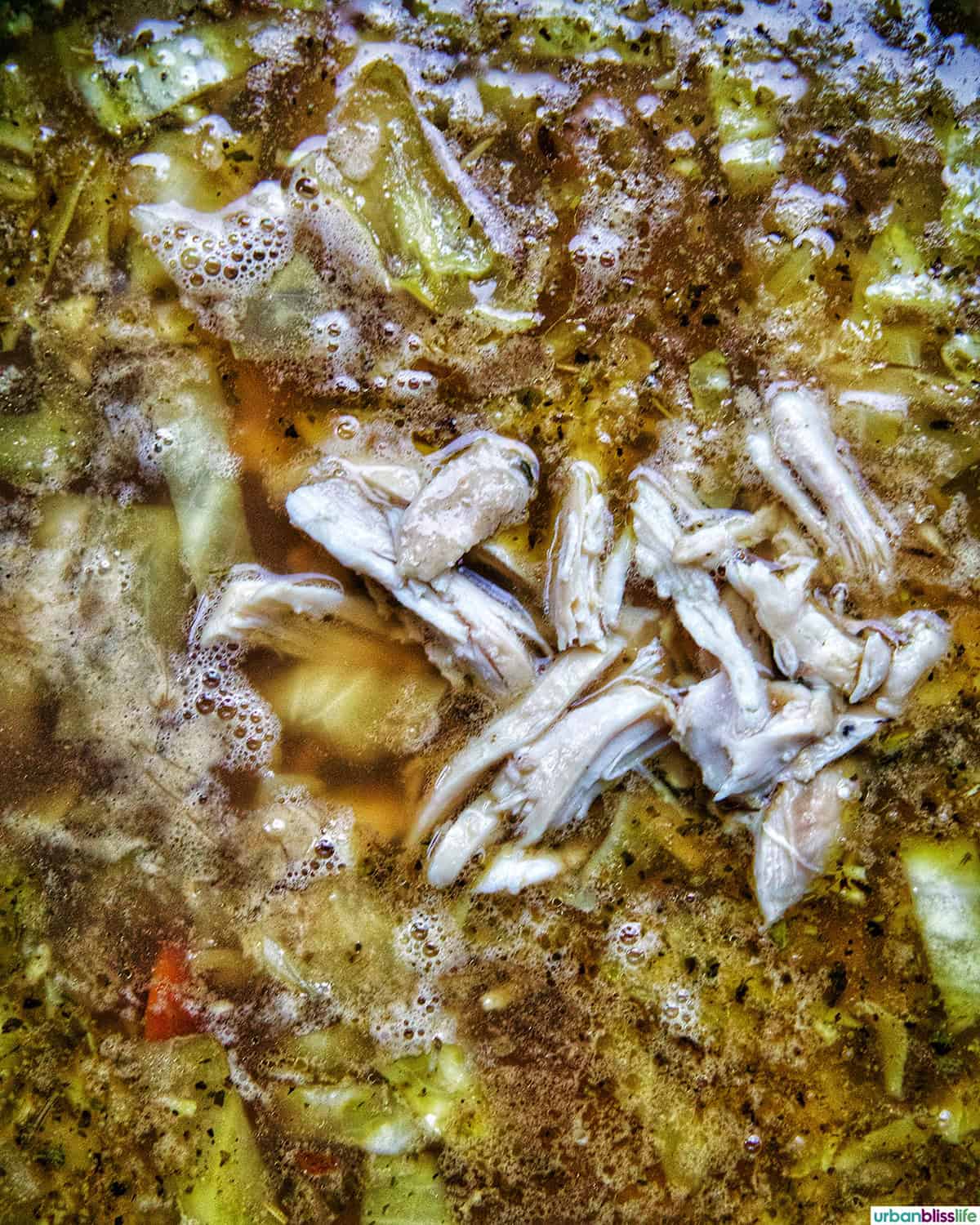 chicken cabbage soup cooking in a dutch oven..