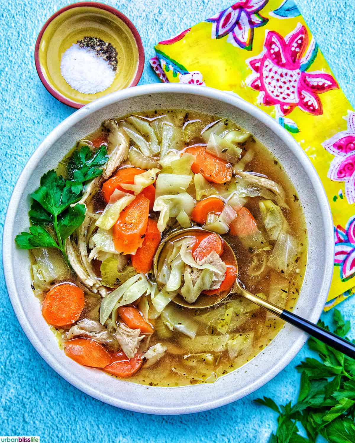 spoon in a bowl of chicken cabbage soup.