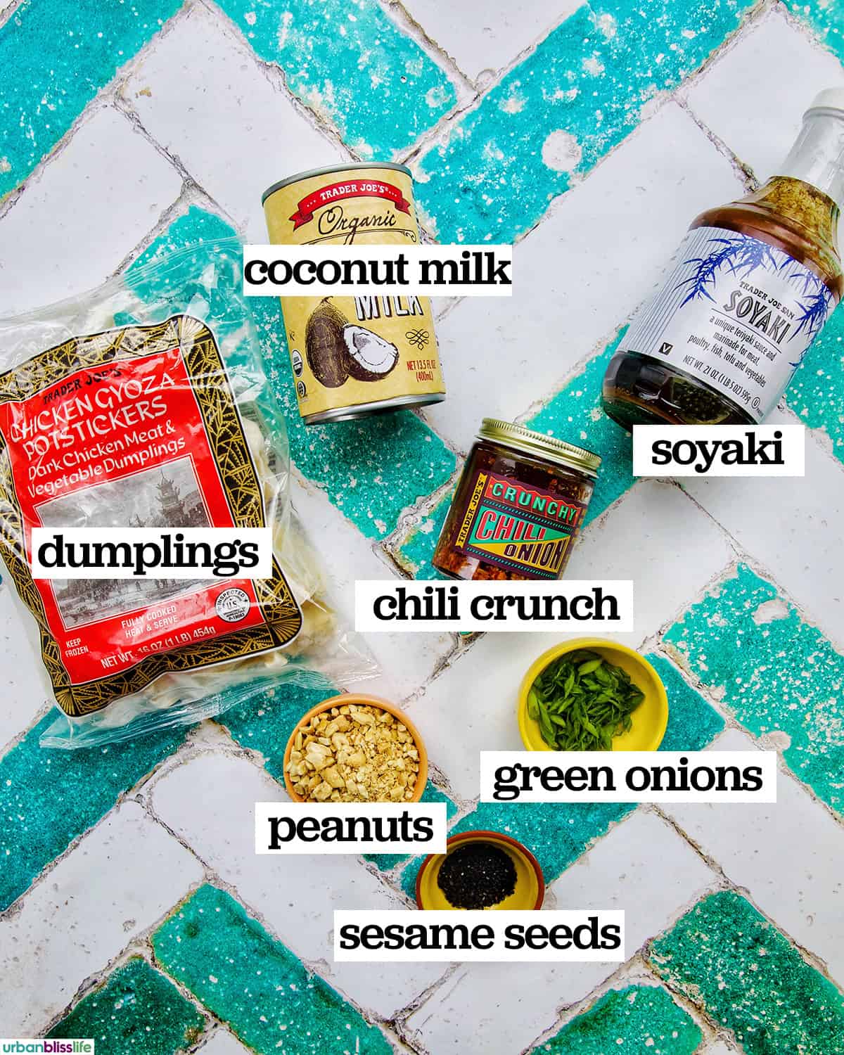 flatlay photo of ingredients to make dumpling bake.