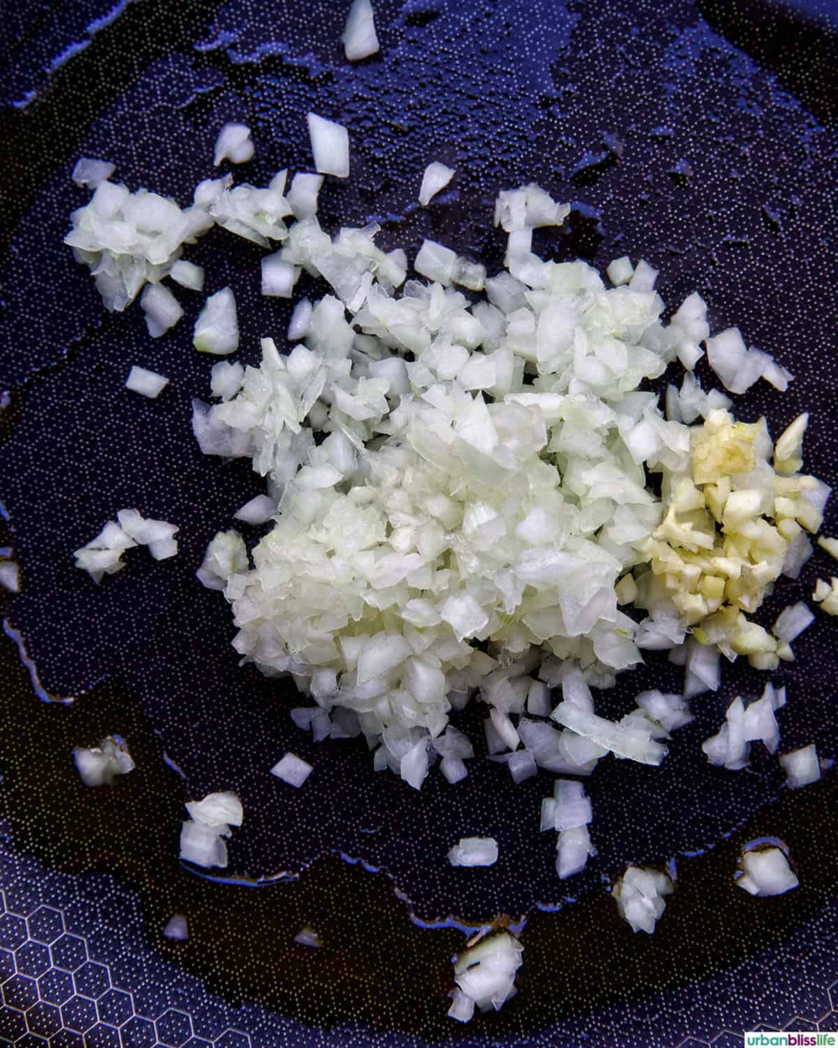 onions and garlic in a skillet.