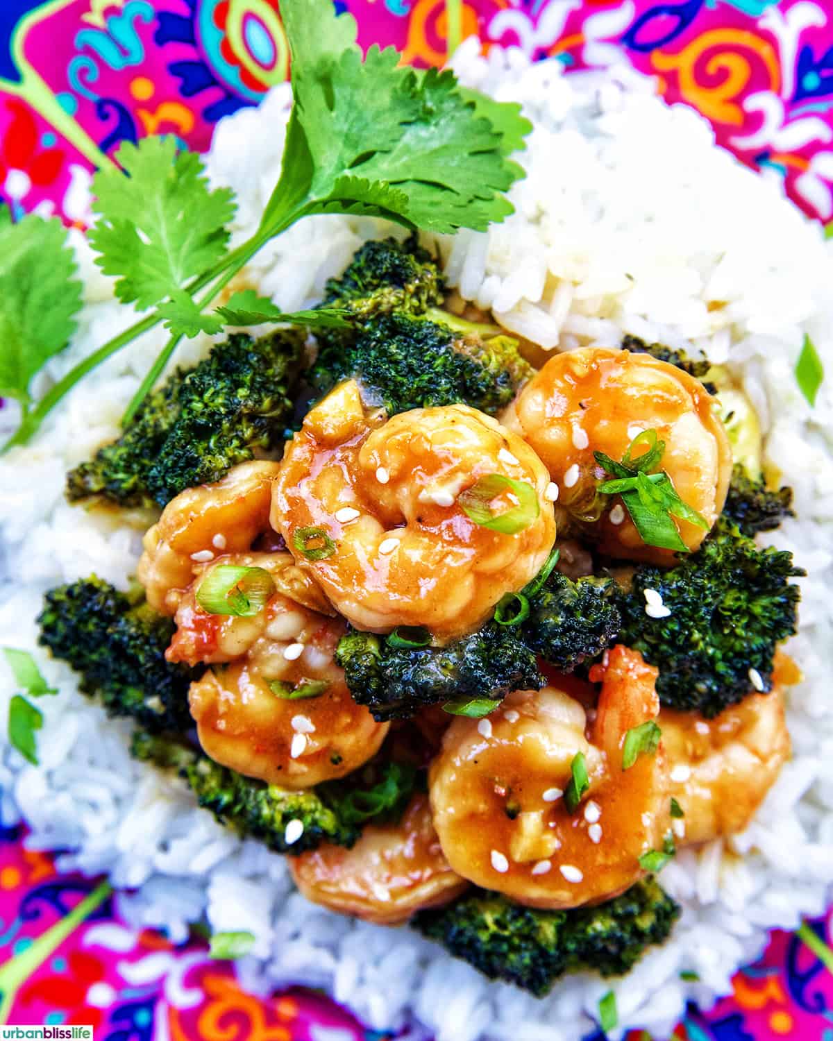 shrimp and broccoli str fry on top of white rice.