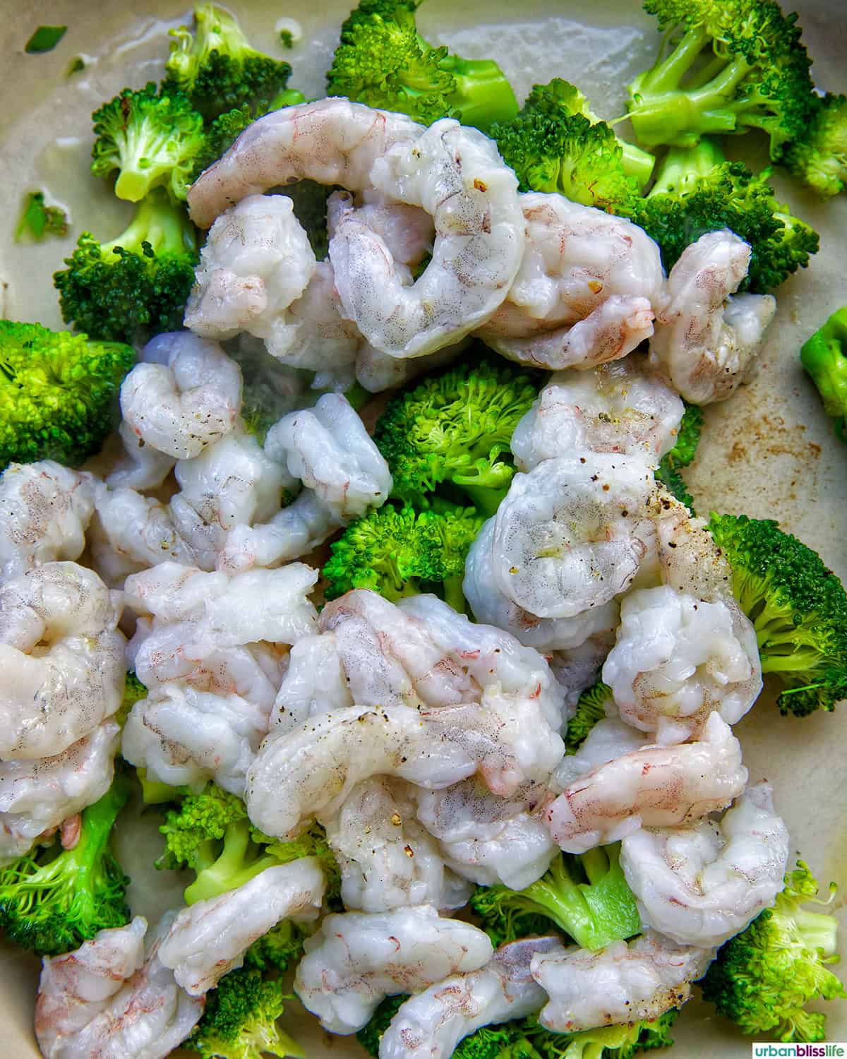 shrimp and broccoli str fry.