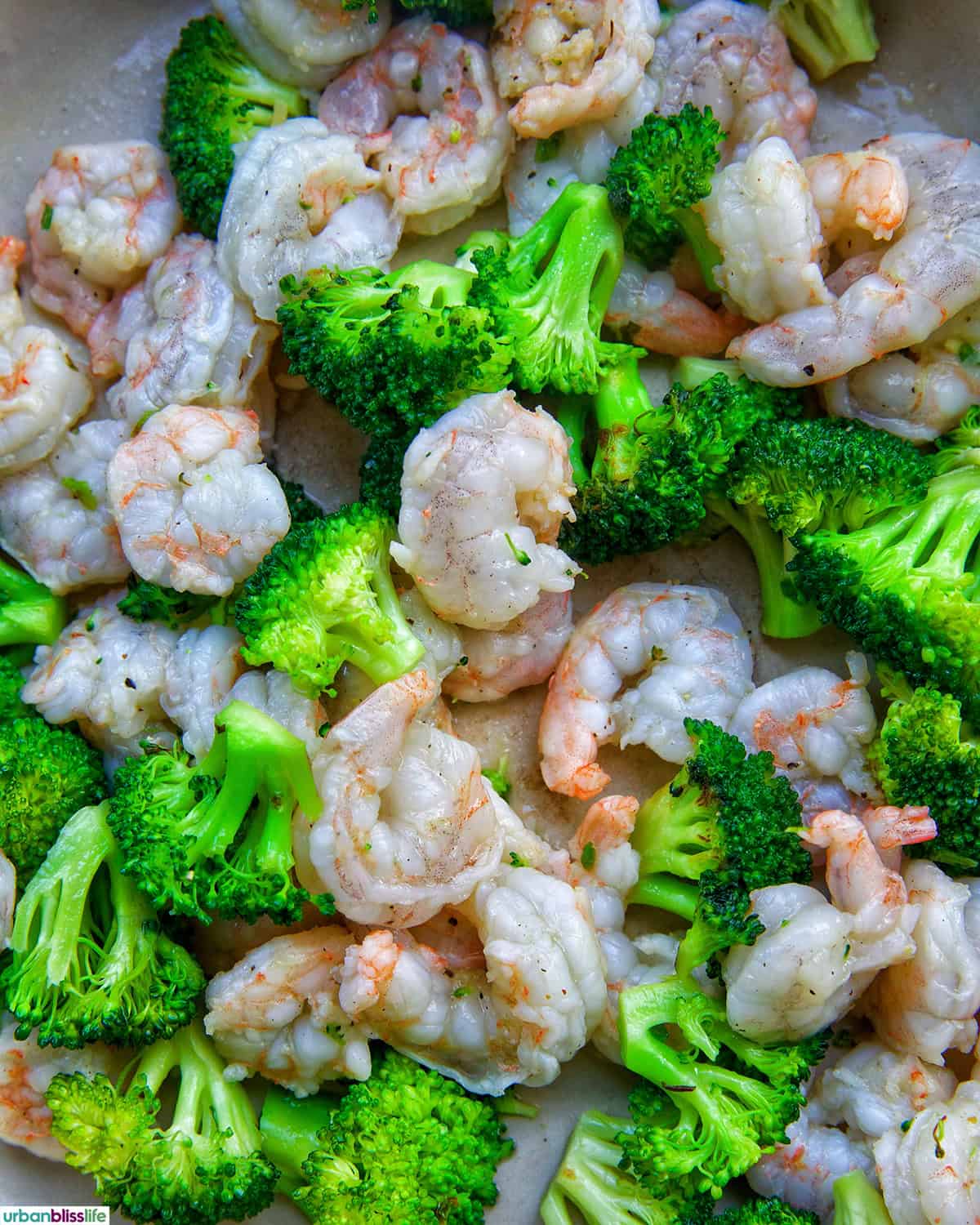 shrimp and broccoli str fry.