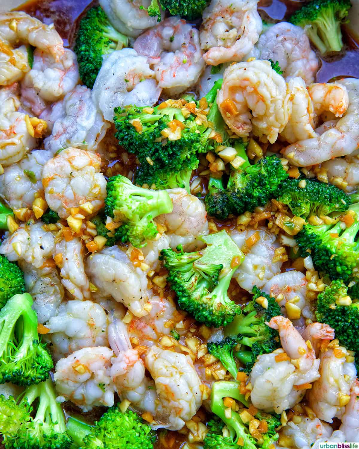 shrimp and broccoli str fry.