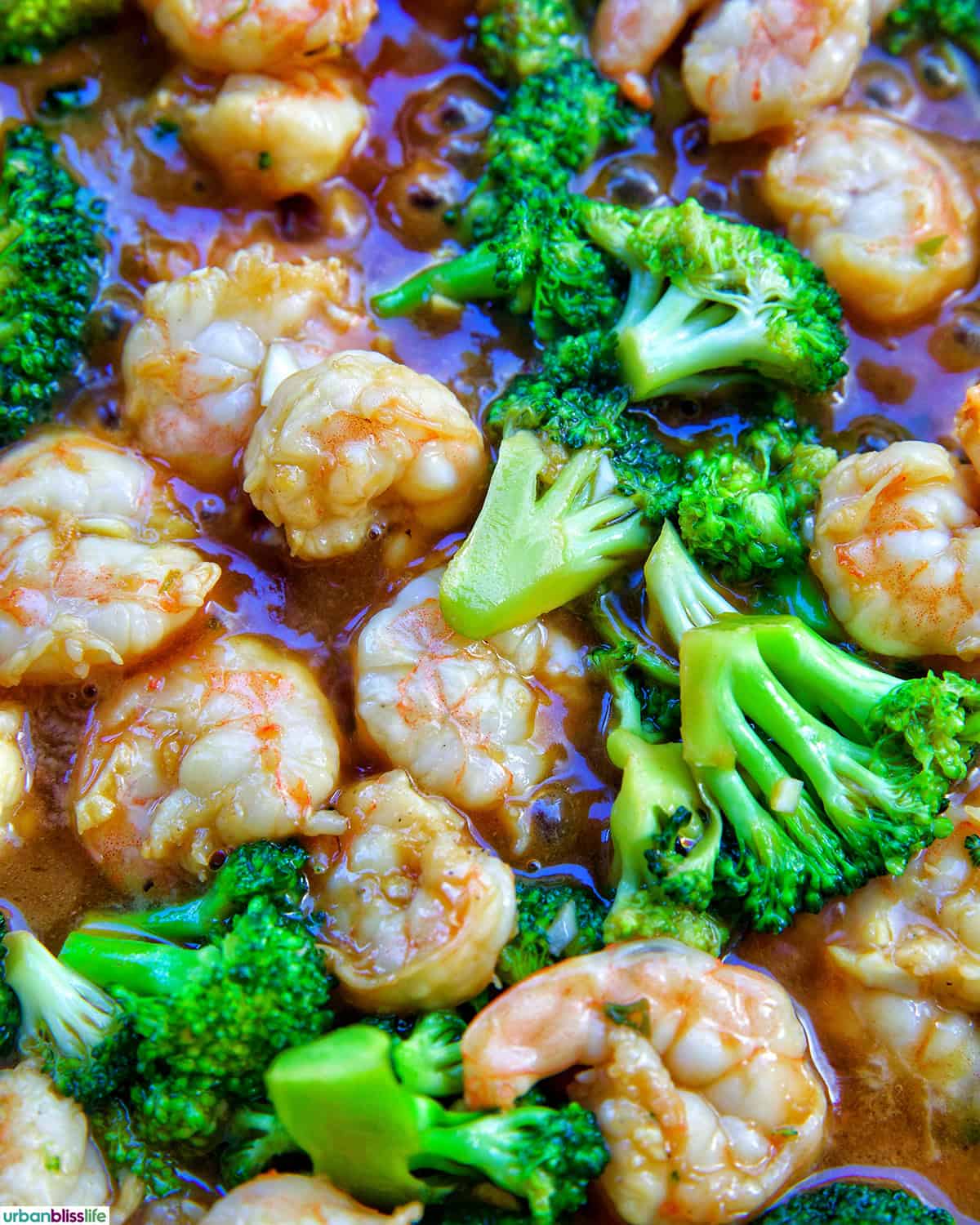 shrimp and broccoli str fry.