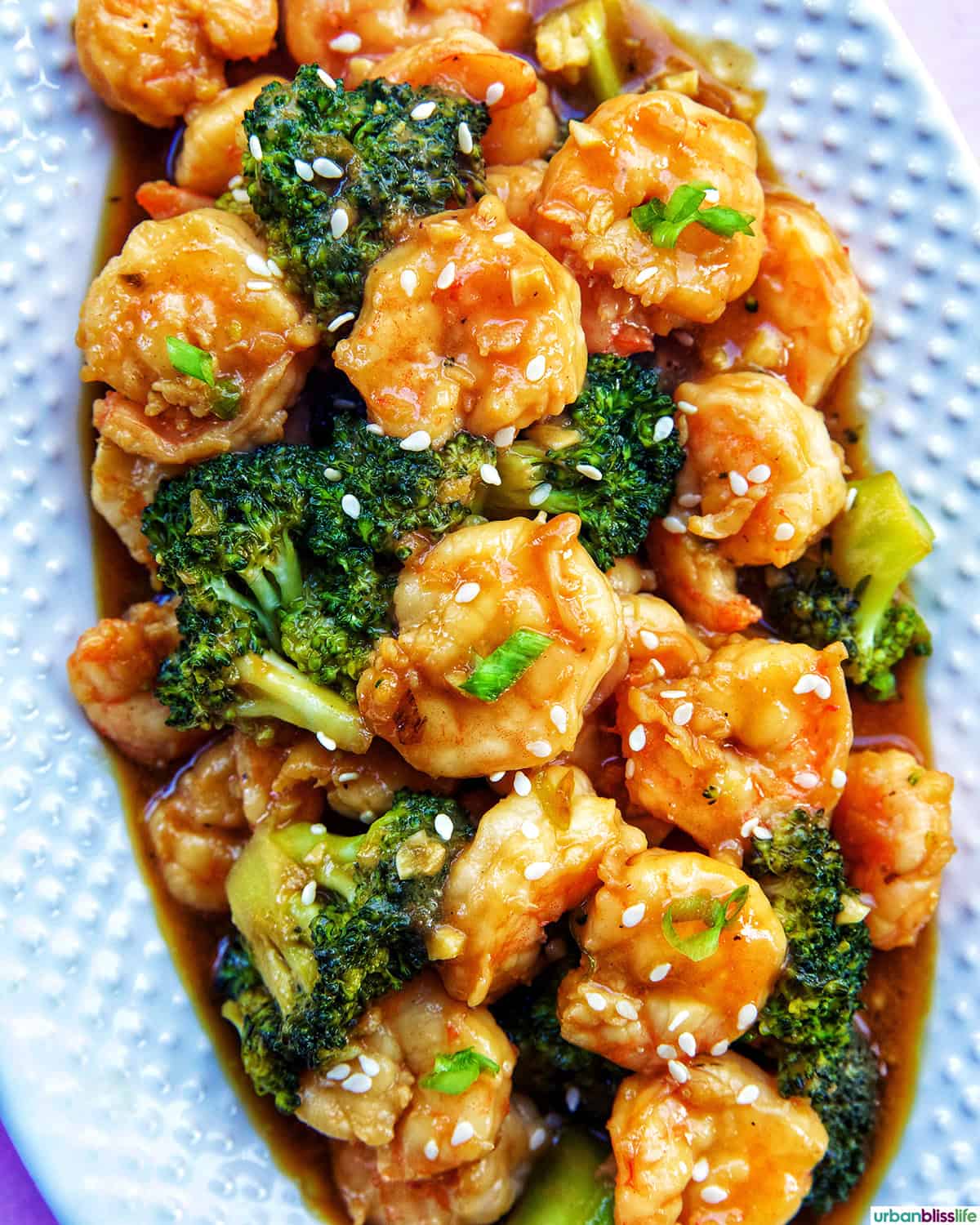 shrimp and broccoli str fry on a white plate.