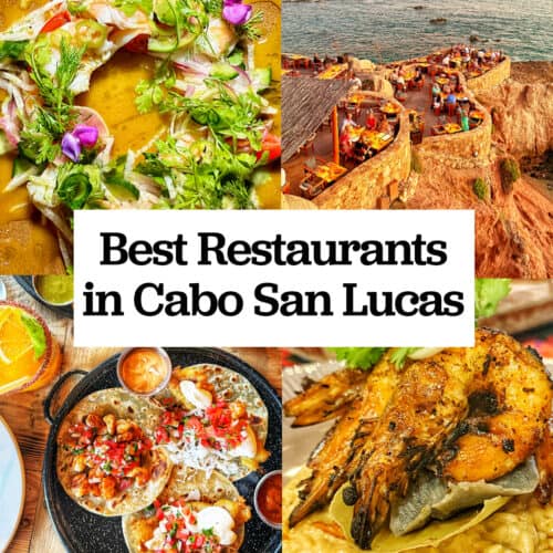 Casa Martin aguachile, Cocina del Mar restaurant on the sea, Mother Flower tacos, and Metate seafood risotto with title text overlay "Best Restaurants in Cabo San Lucas."