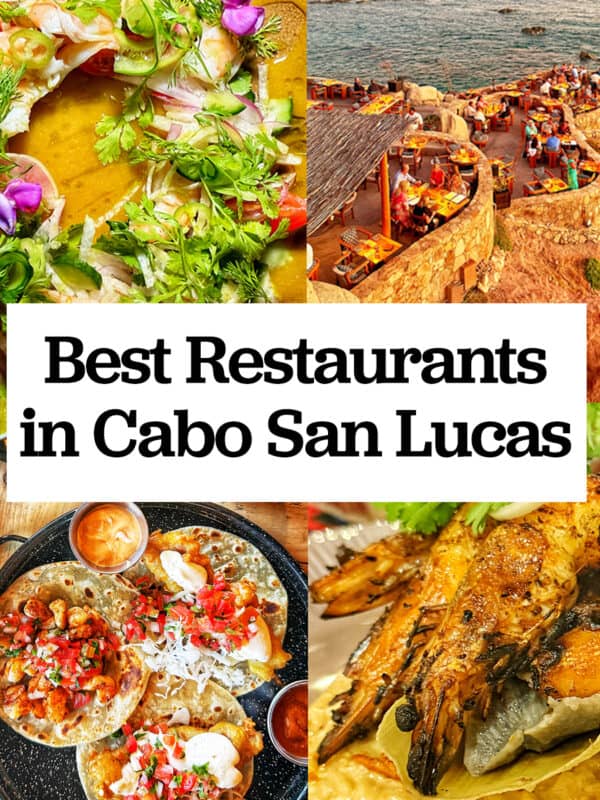 Casa Martin aguachile, Cocina del Mar restaurant on the sea, Mother Flower tacos, and Metate seafood risotto with title text overlay "Best Restaurants in Cabo San Lucas."