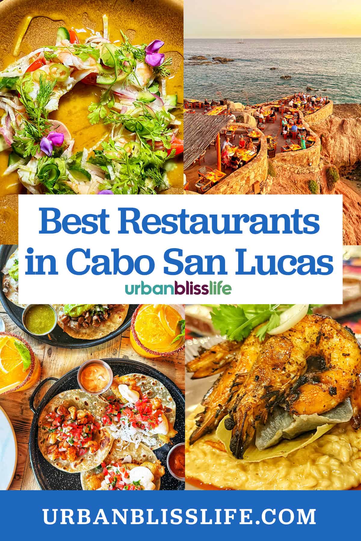 Casa Martin aguachile, Cocina del Mar restaurant on the sea, Mother Flower tacos, and Metate seafood risotto with title text overlay "Best Restaurants in Cabo San Lucas."