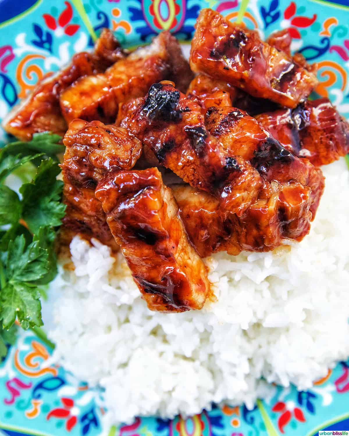 colorful plate of Filipino grilled pork belly and rice.