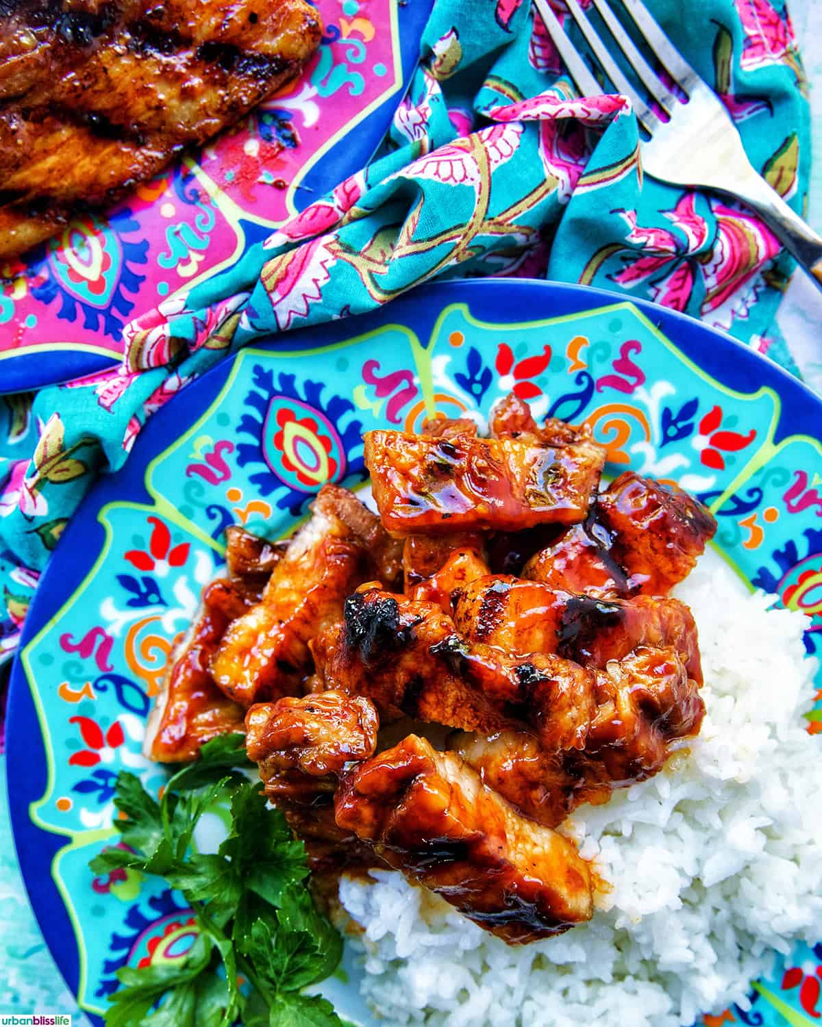 colorful plate of Filipino grilled pork belly and rice.