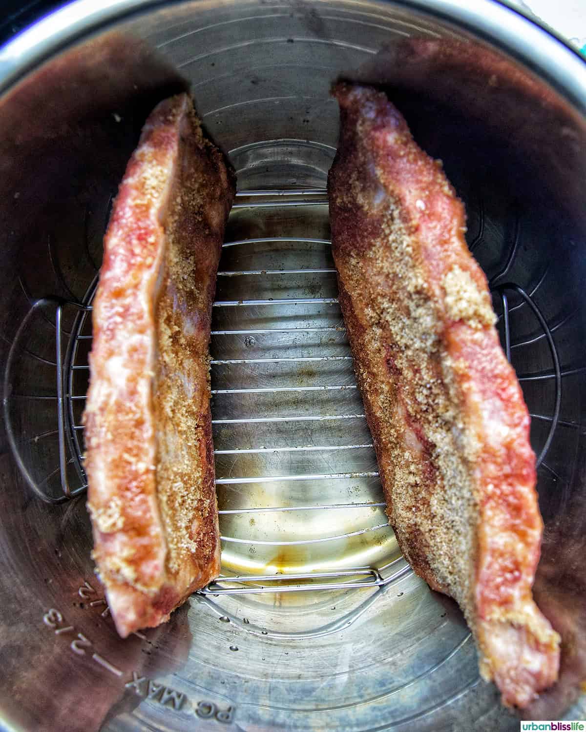 two seasoned ribs in an Instant Pot.