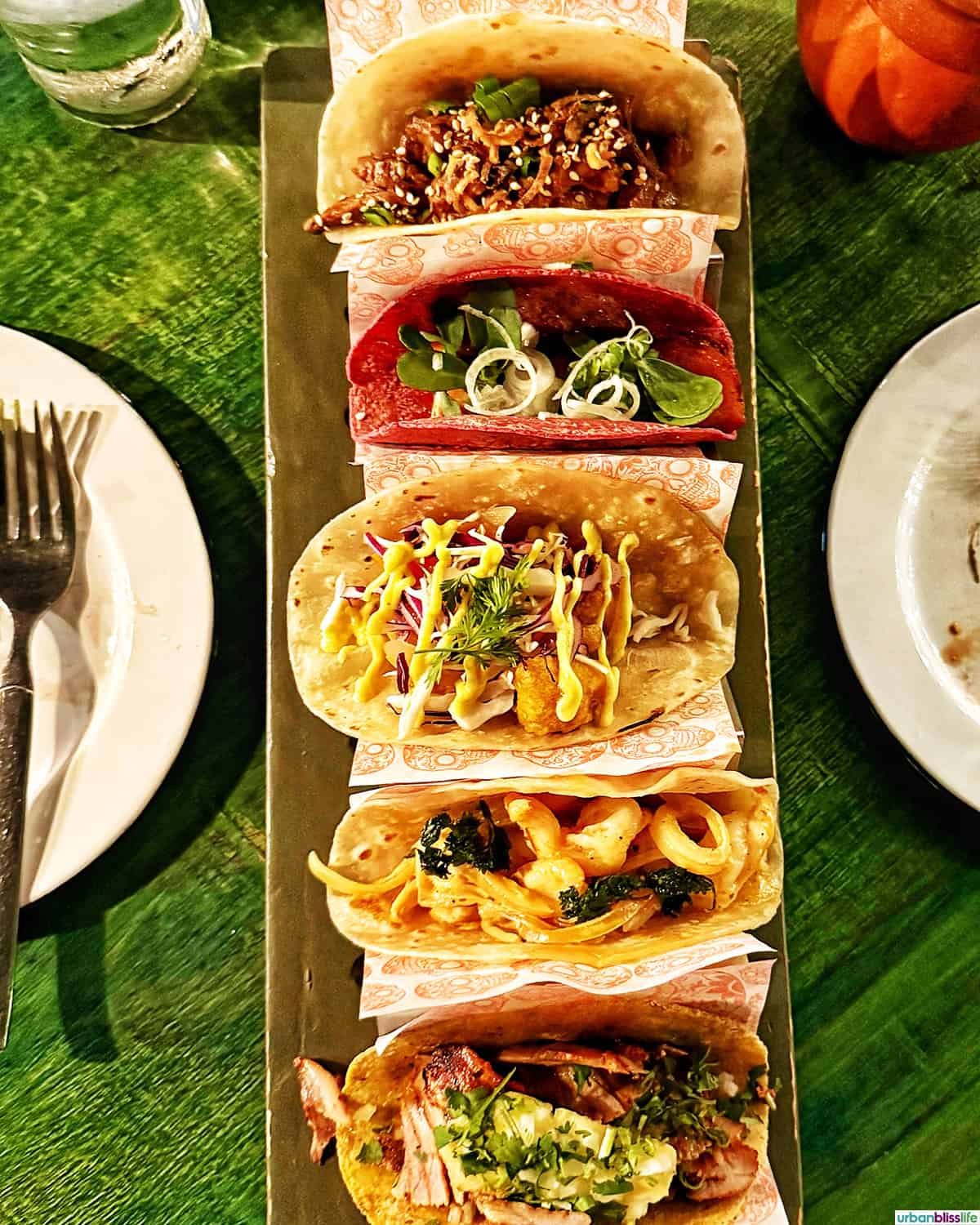 5 tacos in a taco holder at La Lupita.