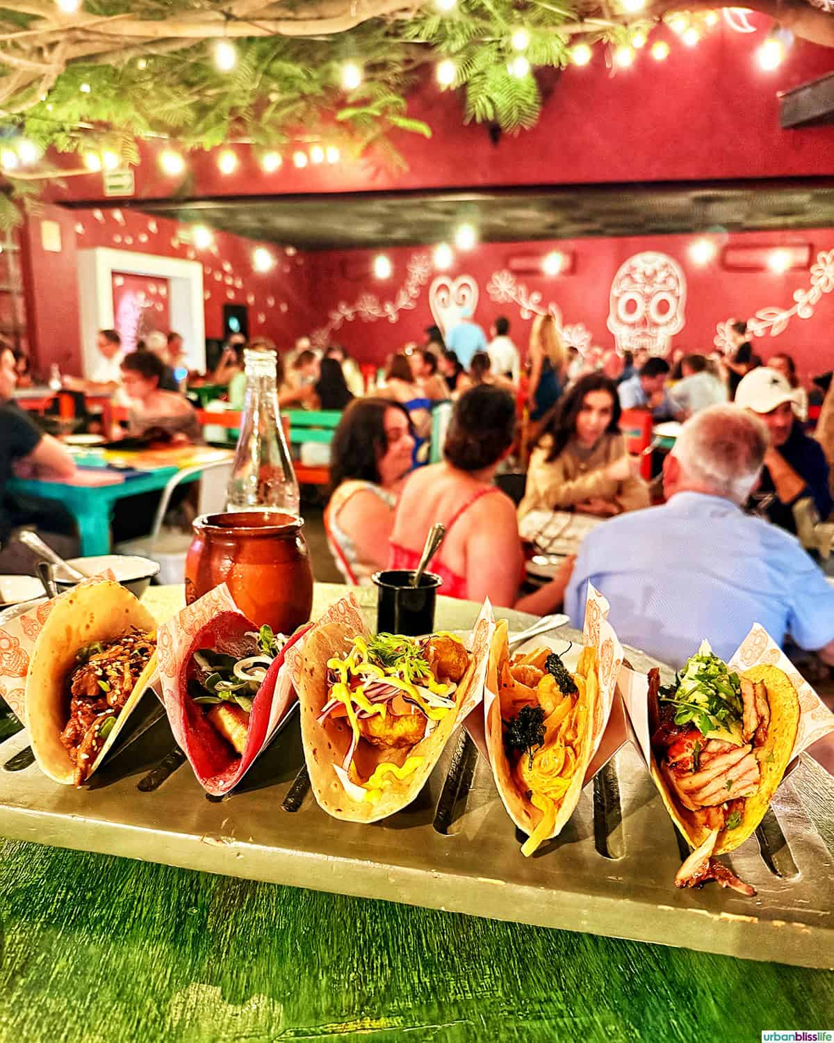 row of tacos and dining room of La Lupita in Cabo San Lucas, Mexico.