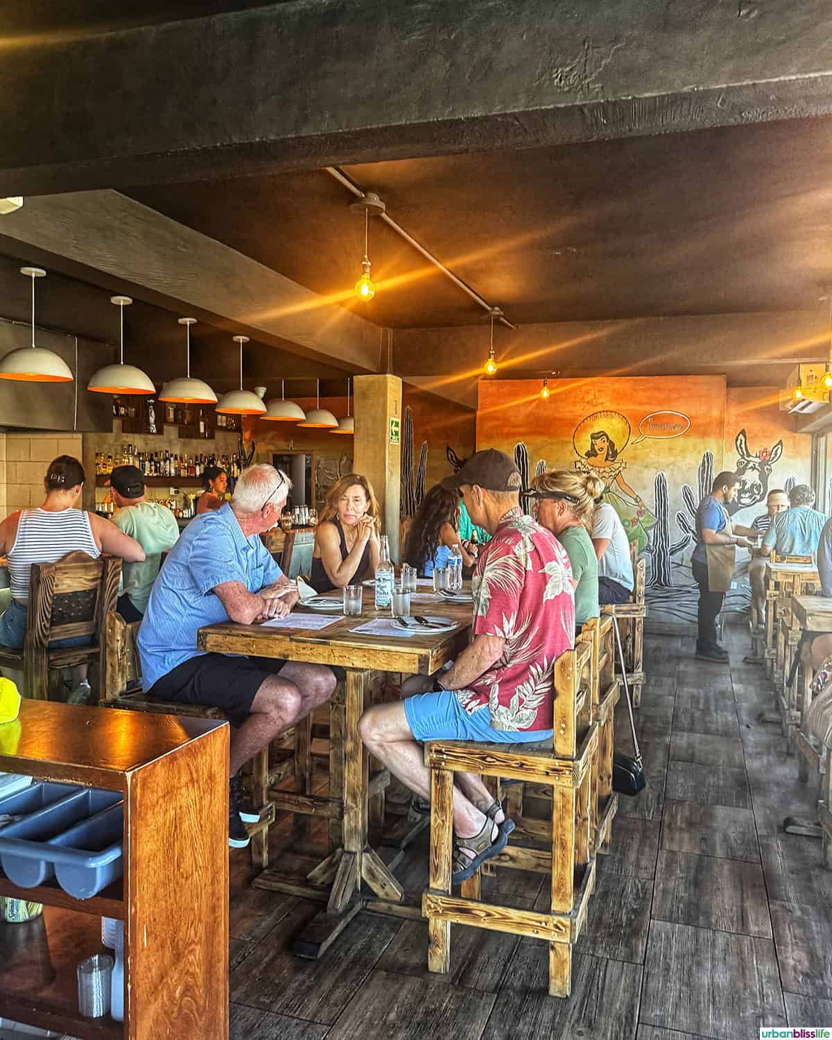 interior dining room at Mother Flower in Cabo San Lucas, Mexico.
