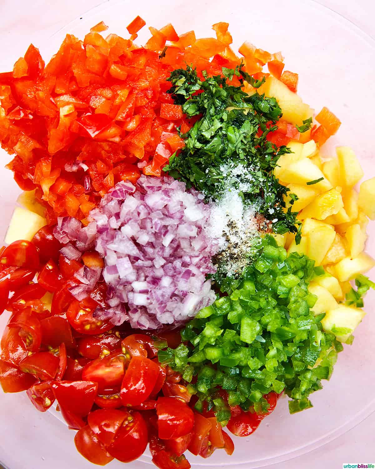 peach salsa with tomatoes, cilantro.