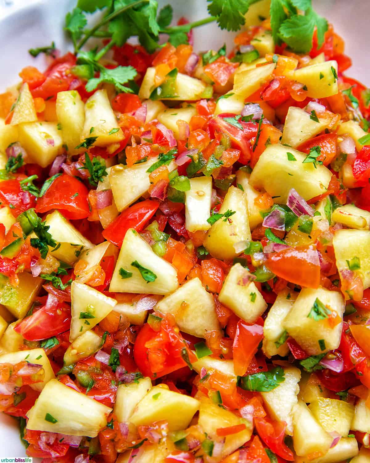 peach salsa with tomatoes and chopped cilantro.