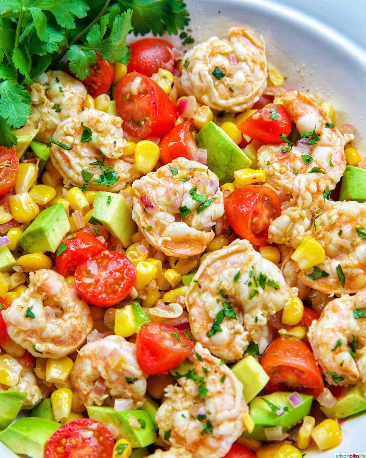 bowl of shrimp corn salad.