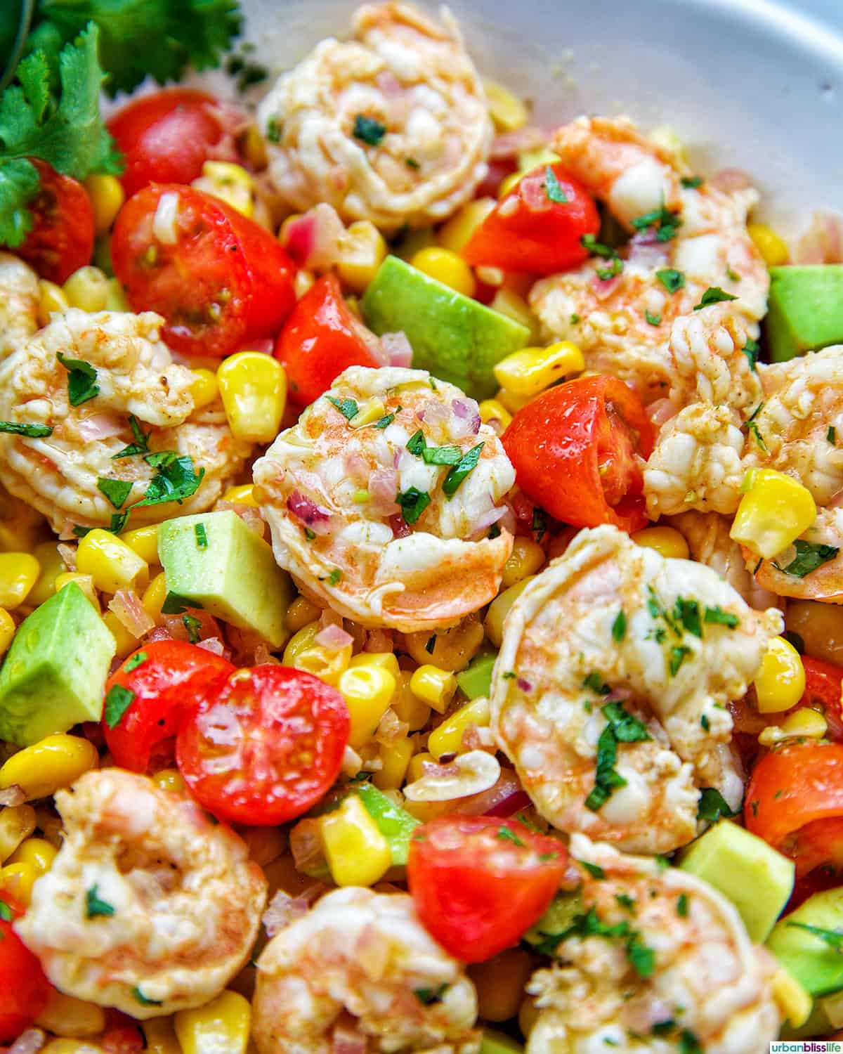 bowl of shrimp corn salad.