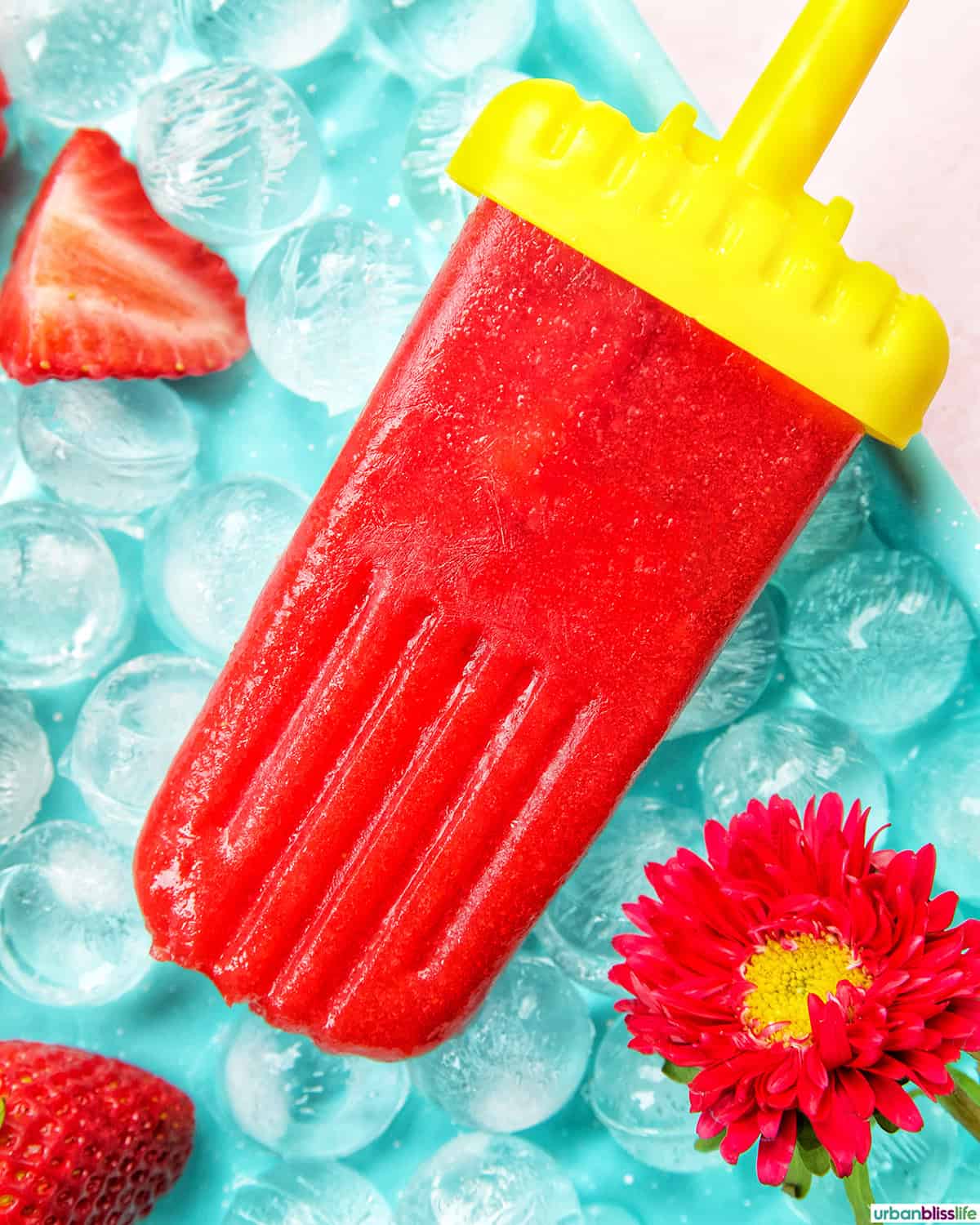strawberry fruit popsicle on ice