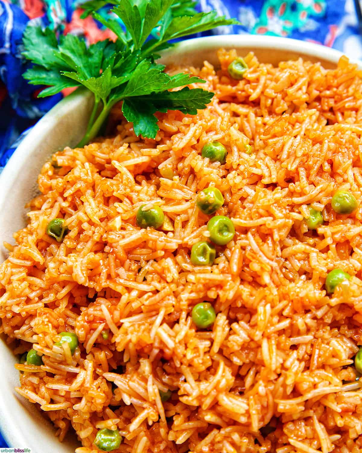 bowl of Vegetarian Mexican Rice with parsley garnish.