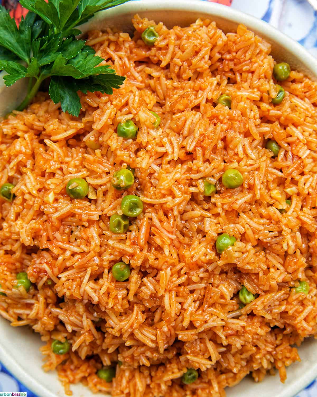 bowl of Vegetarian Mexican Rice with parsley garnish.