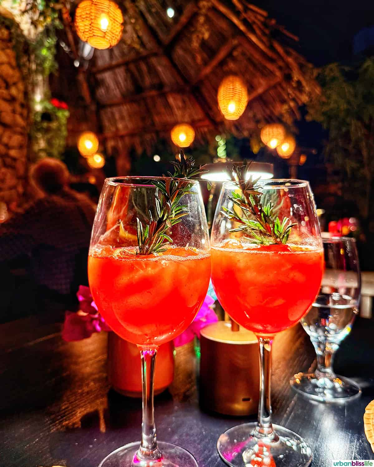 cocktails at at Casa Martin in Cabo San Lucas, Mexico.