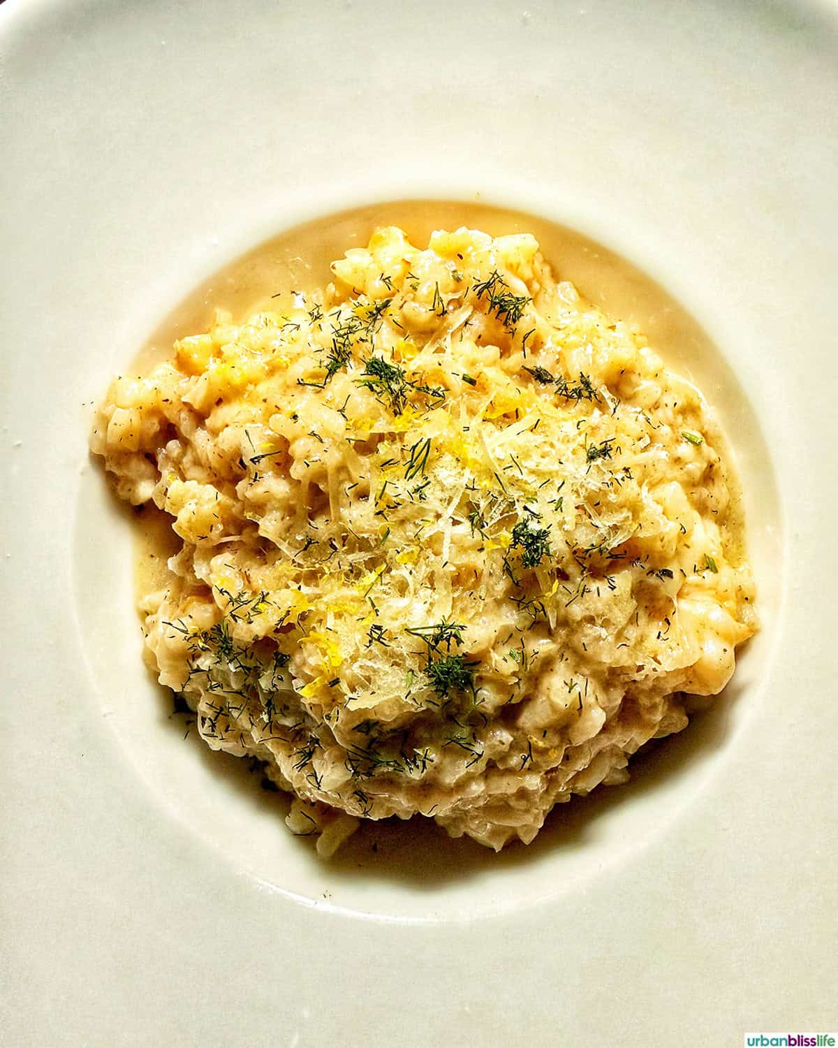 lobster risotto at Casa Martin in Cabo San Lucas, Mexico.