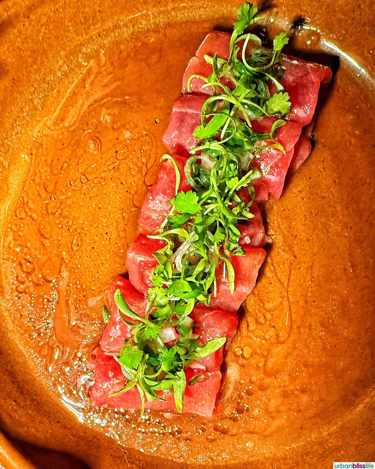 tuna appetizer at Cocina del Mar restaurant in Cabo San Lucas, Mexico.