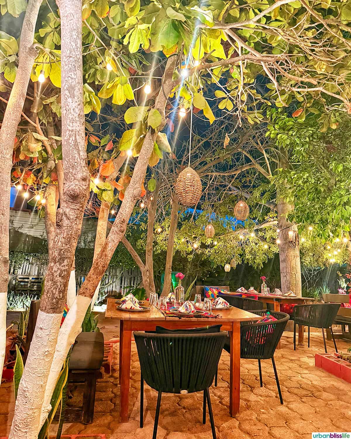 outdoor dining at Metate restaurant in Cabo San Lucas, Mexico.