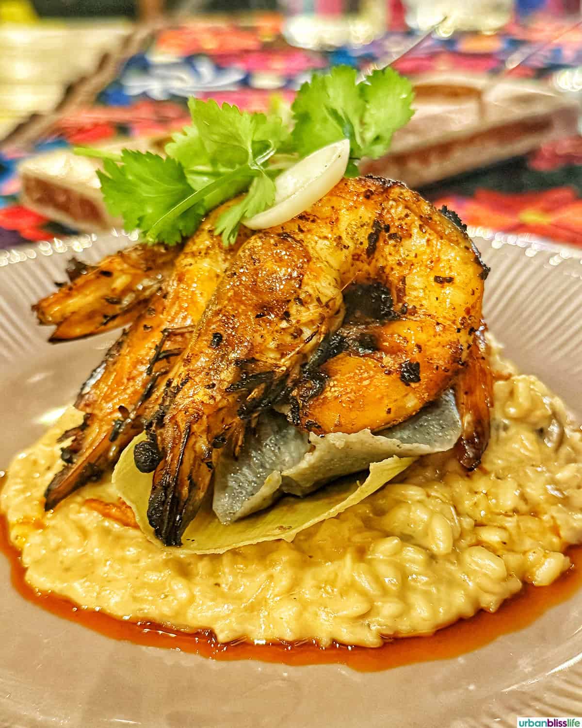 pawn risotto at Metate restaurant in Cabo San Lucas, Mexico.
