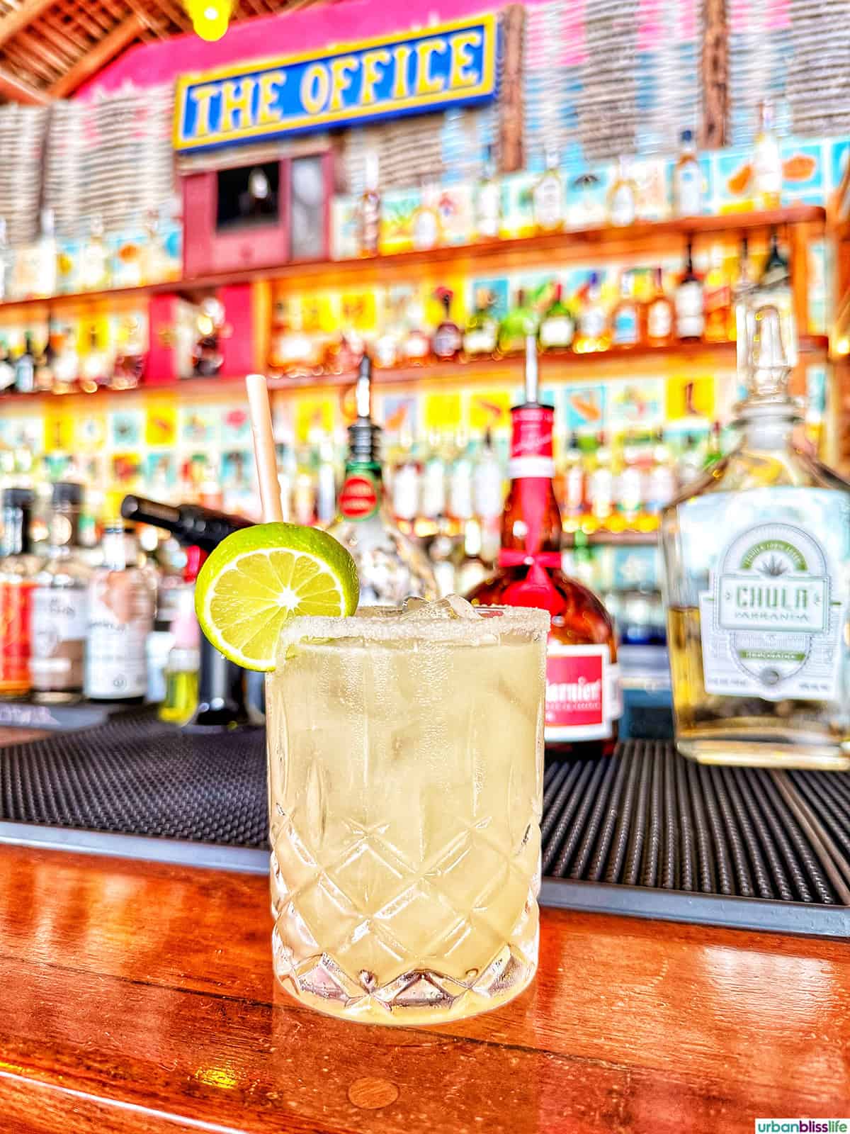margarita on top of a bar The Office beac bar in Cabo San Lucas, Mexico.