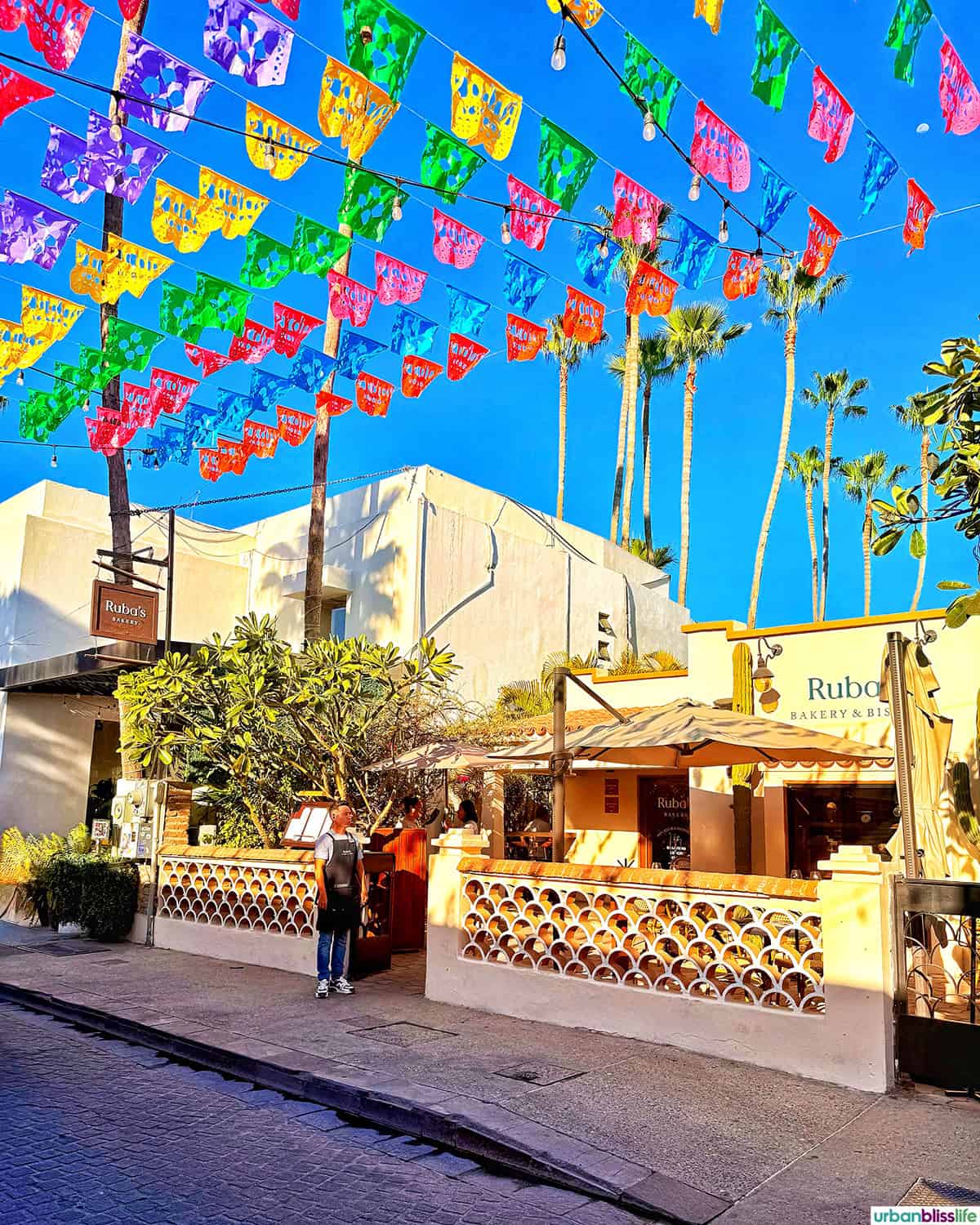 ruba's bakery in san jose del cabo