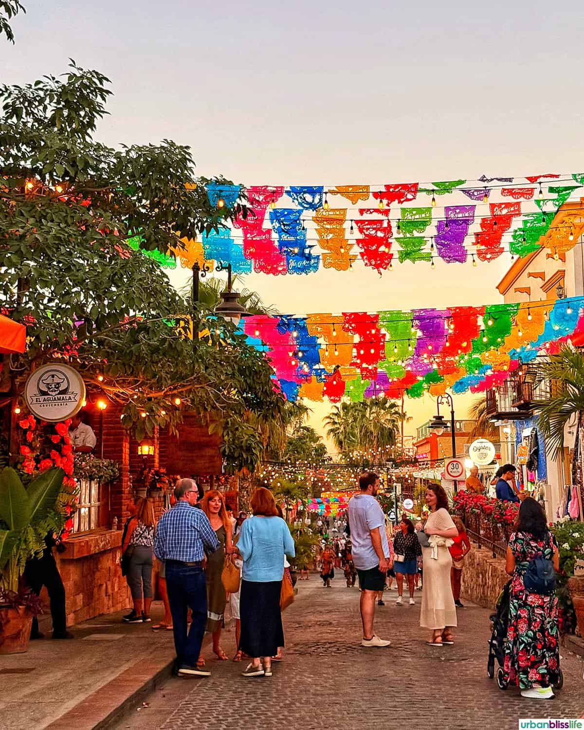 busy street during the Art Walk in San Jose del Cabo, Mexico.