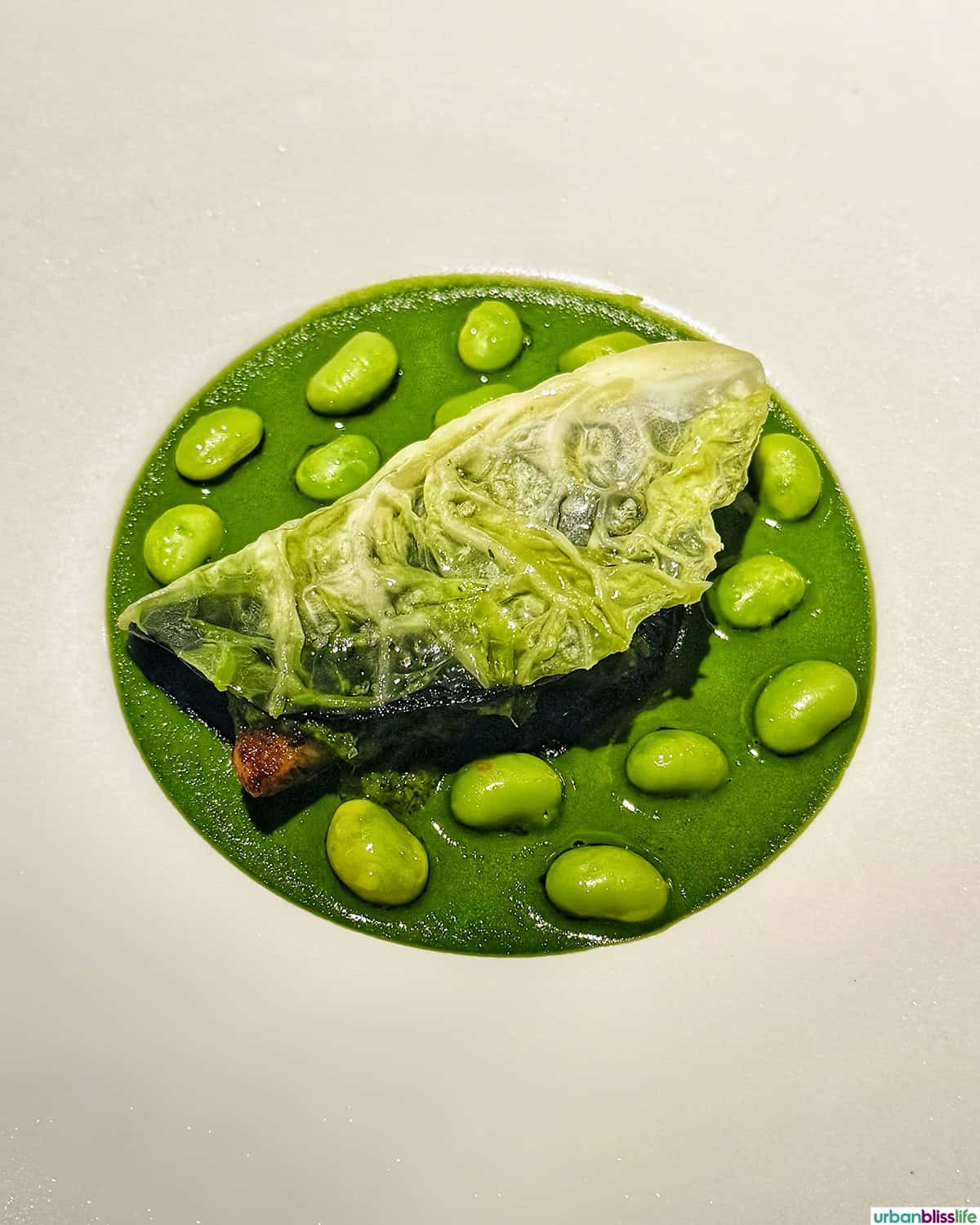 green food at El Chato restaurant in Bogota, Colombia.
