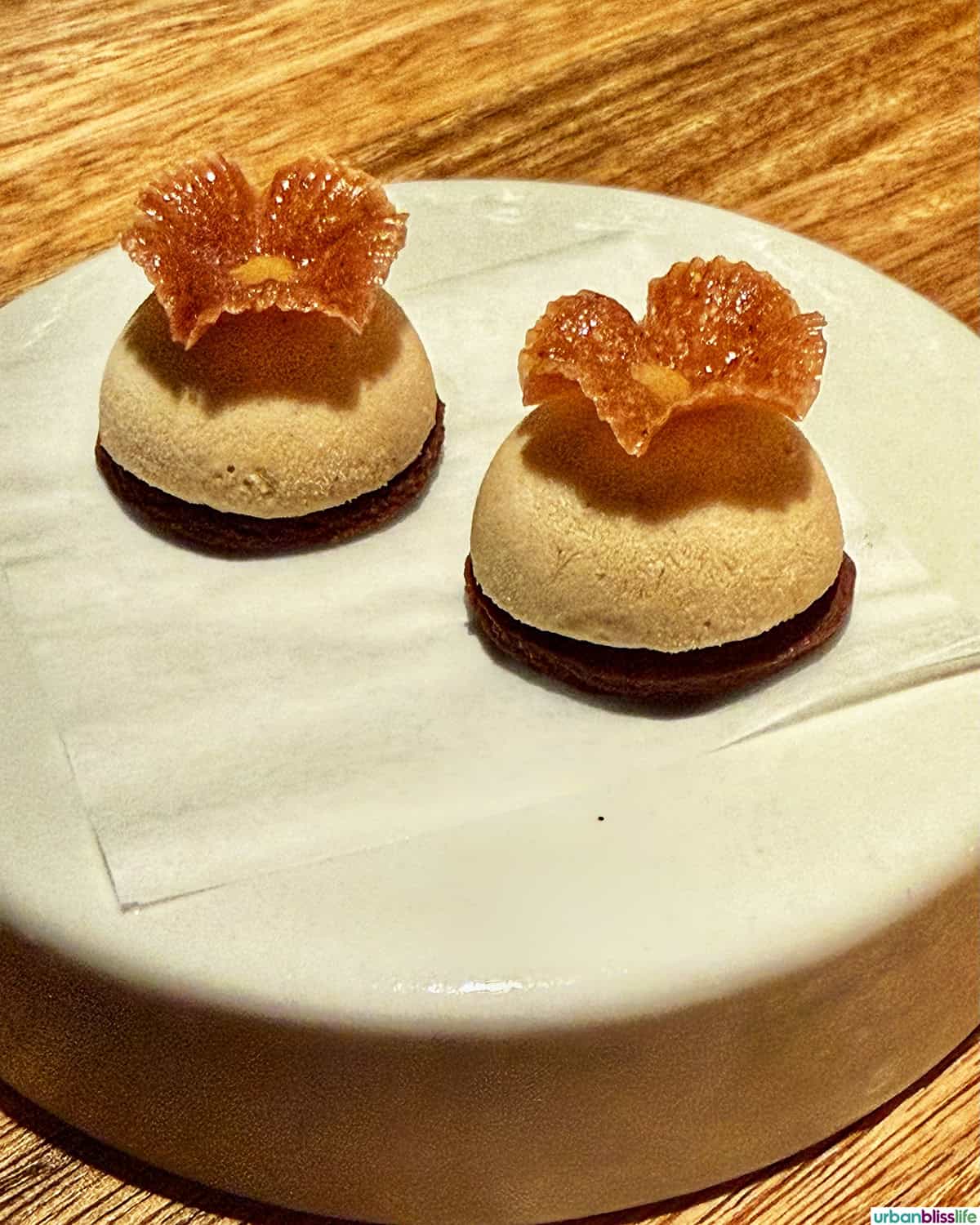 petit dessert at El Chato restaurant in Bogota, Colombia.