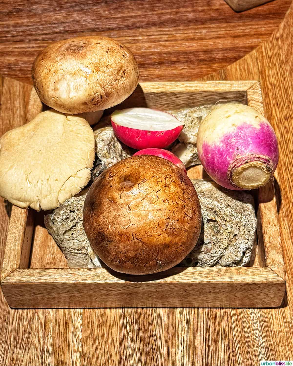 tray of mushrooms and radishes at El Chato restaurant in Bogota, Colombia.