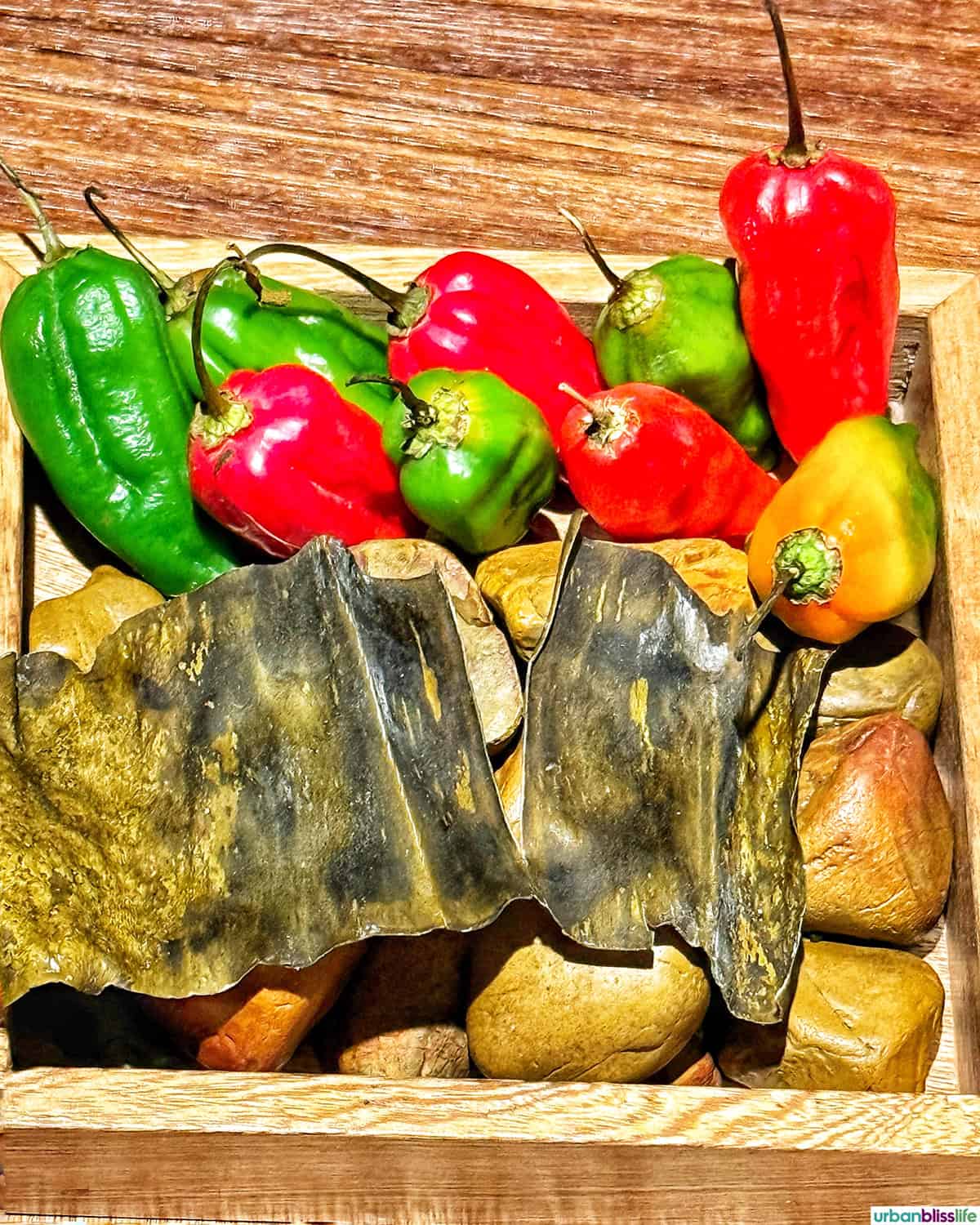 tray of peppers and other ingredients at El Chato restaurant in Bogota, Colombia.