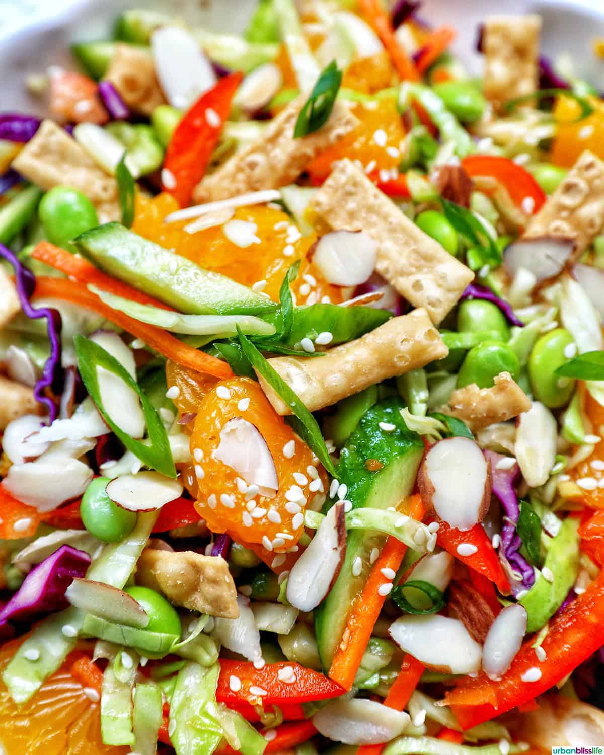bowl of Asian crunch salad.