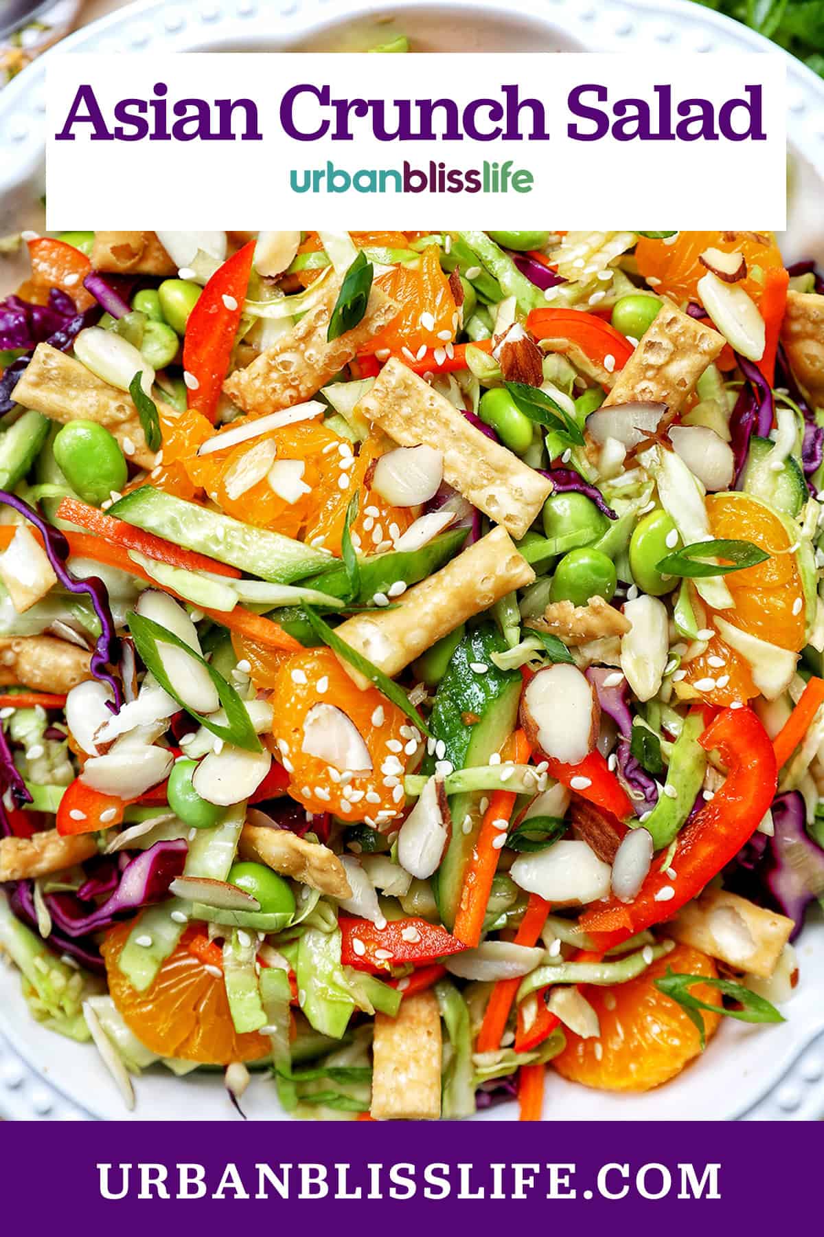 bowl of Asian crunch salad with title text overlay.