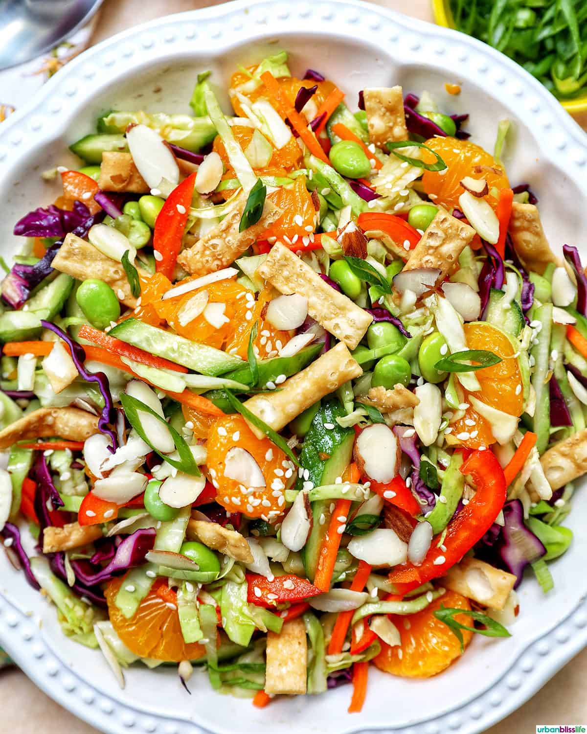 bowl of Asian crunch salad.