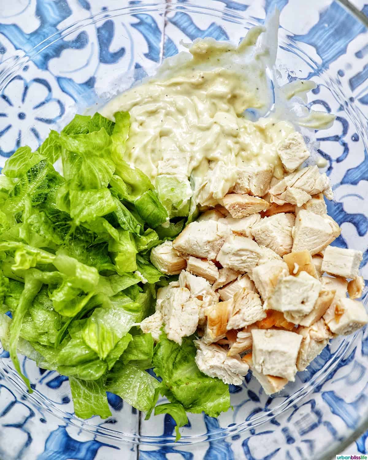 lettuce, chicken, and caesar dressing in a bowl.
