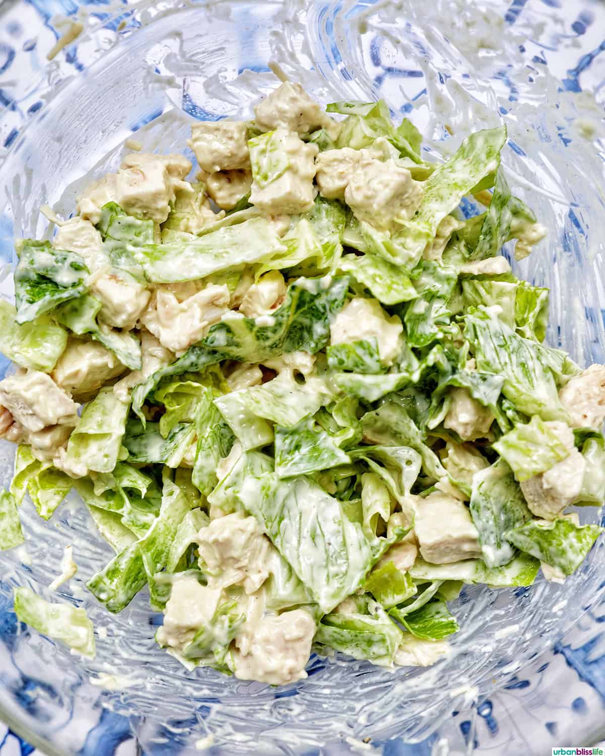 Chicken Caesar Salad in a bowl.